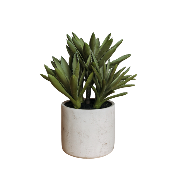 Faux Succulent in Textured Cement Planter