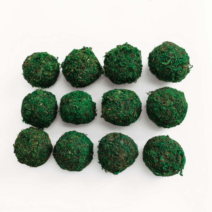 Mini Moss Balls Set 12