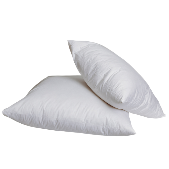 Pillow Insert 24x24