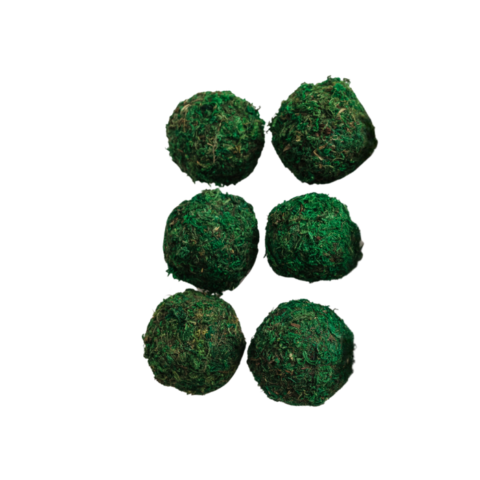 Moss Balls- Medium Set of 6