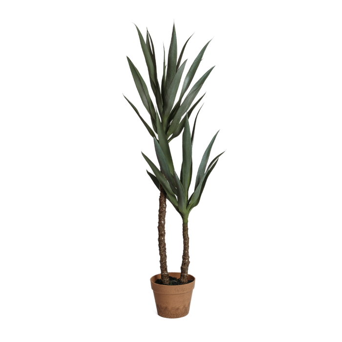 Faux Heineken Plant in Pot