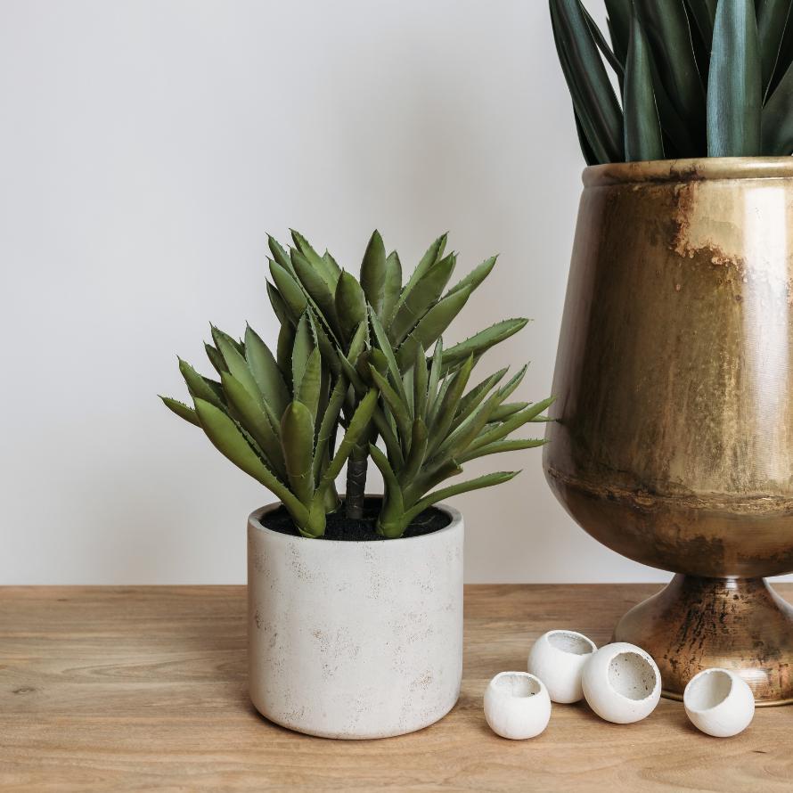 Planters + Vases