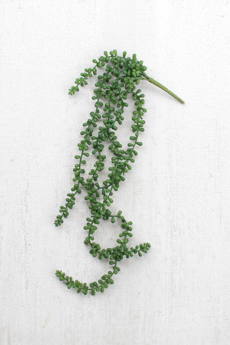 Dark Green Mother of Pearl Succulent Strand