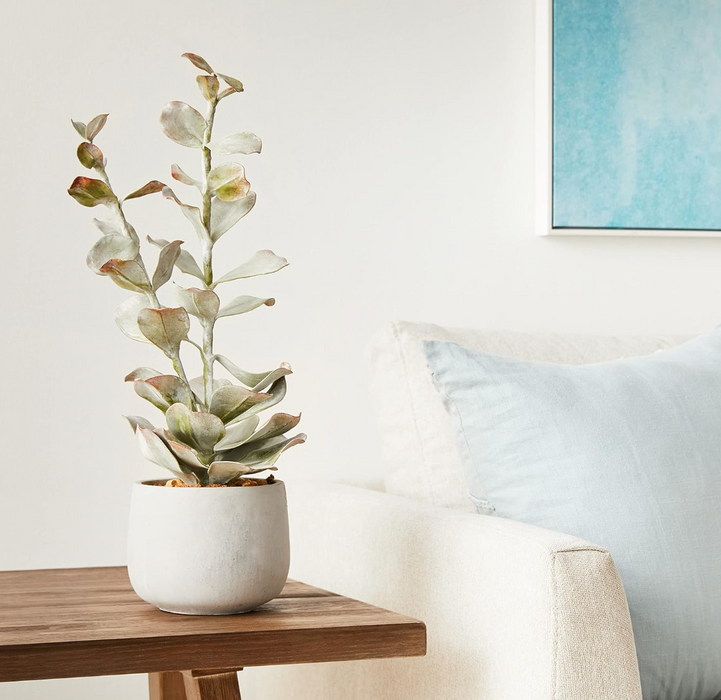 Faux Succulent in Cement Pot