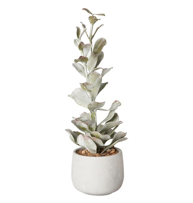 Faux Succulent in Cement Pot