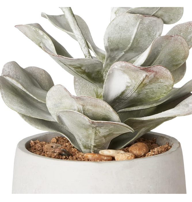 Faux Succulent in Cement Pot